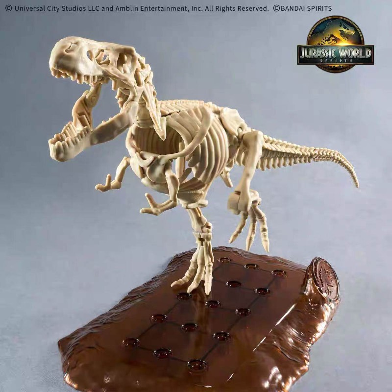 Model Kit Dinosaur Bandai - Kit de modèles de squelettes de