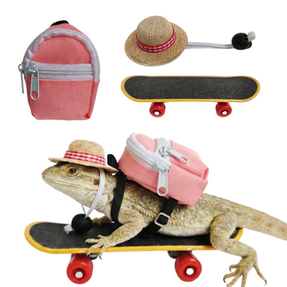 Ensemble de jouets créatifs po - Model Kit Lizard avis et prix