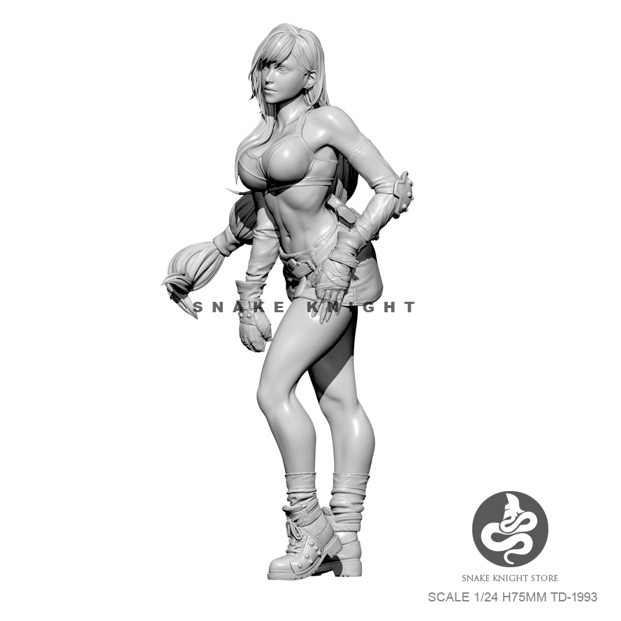 1/24 Analyste De Résine Figure - Model Kit Galahad avis et prix