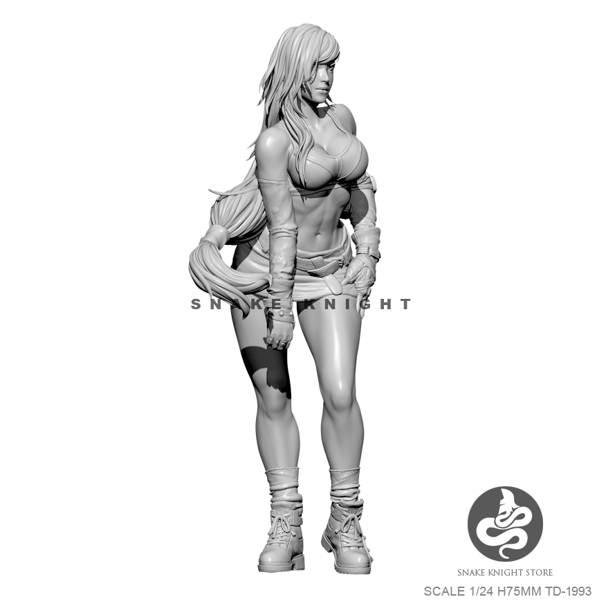 1/24 Analyste De Résine Figure - Model Kit Galahad avis et prix